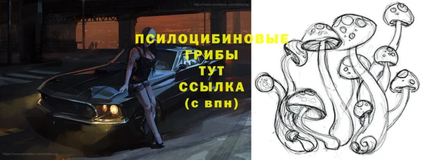 MDMA Premium VHQ Михайловка