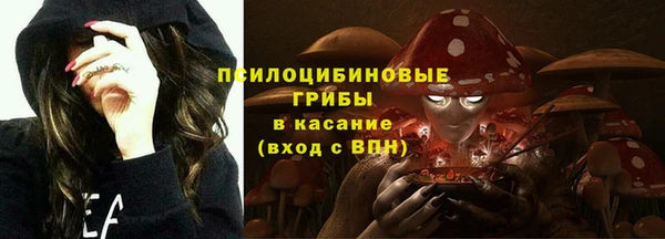 MDMA Premium VHQ Михайловка