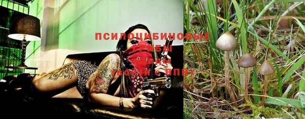 2c-b Михайлов