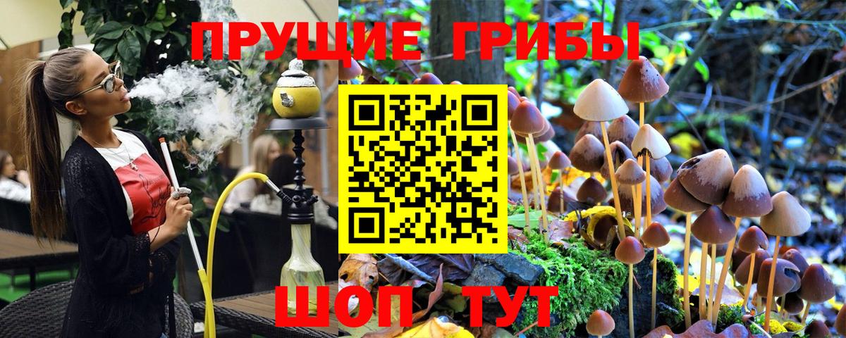Галлюциногенные грибы Cubensis  Вход с VPN  Первоуральск 